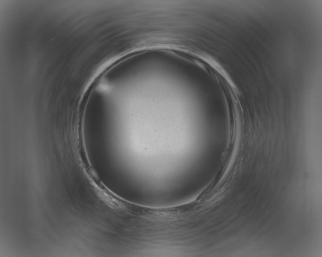 X0000052641101200507011340