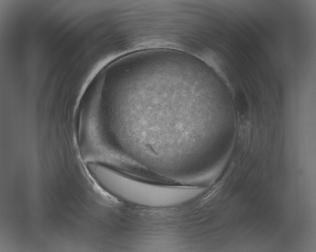 X0000052641102200507011340