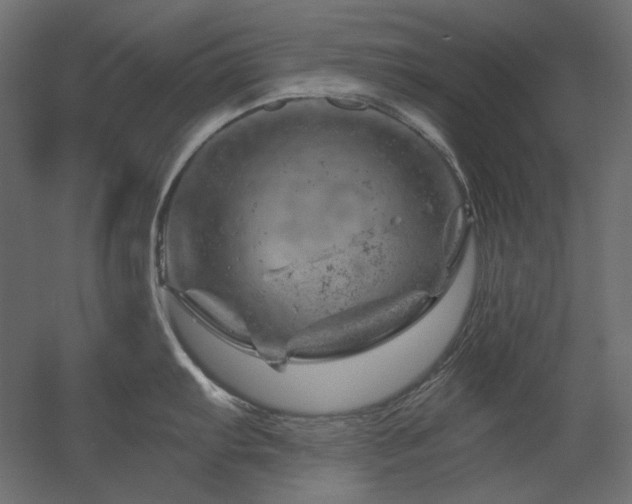 X0000052641103200507011340