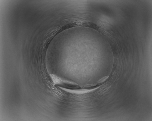 X0000052641105200507011339