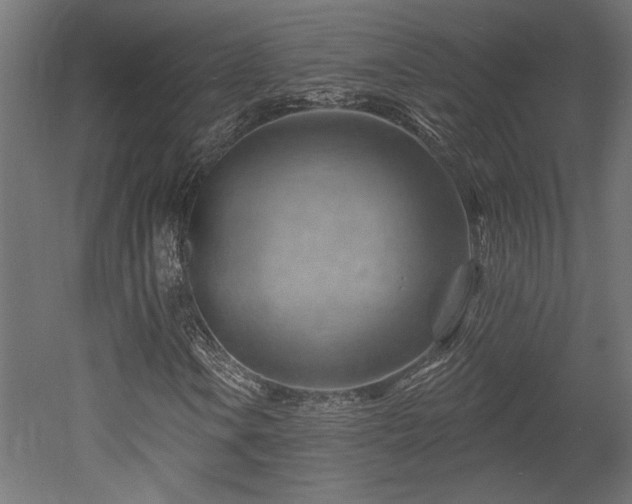 X0000052641106200507011339