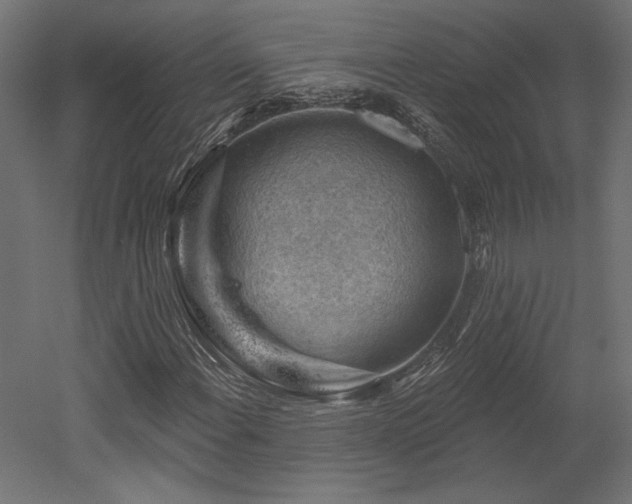 X0000052641108200507011339