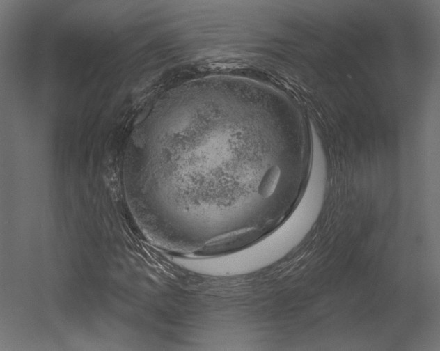 X0000052641109200507011339