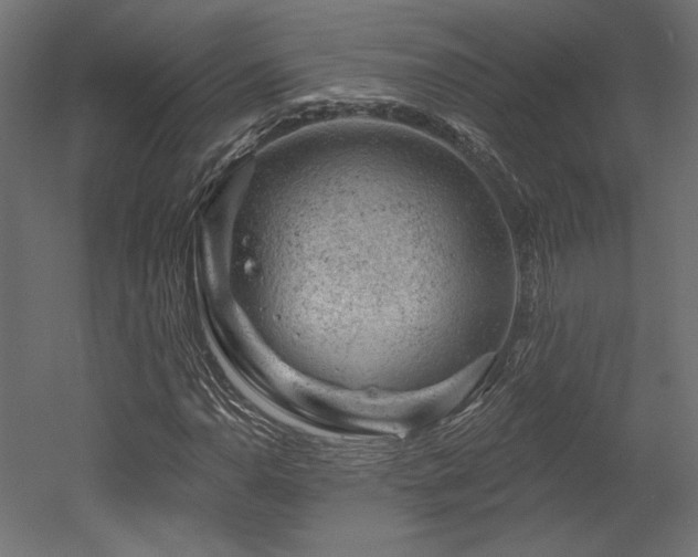 X0000052641110200507011339