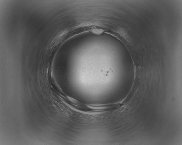 X0000052641111200507011339