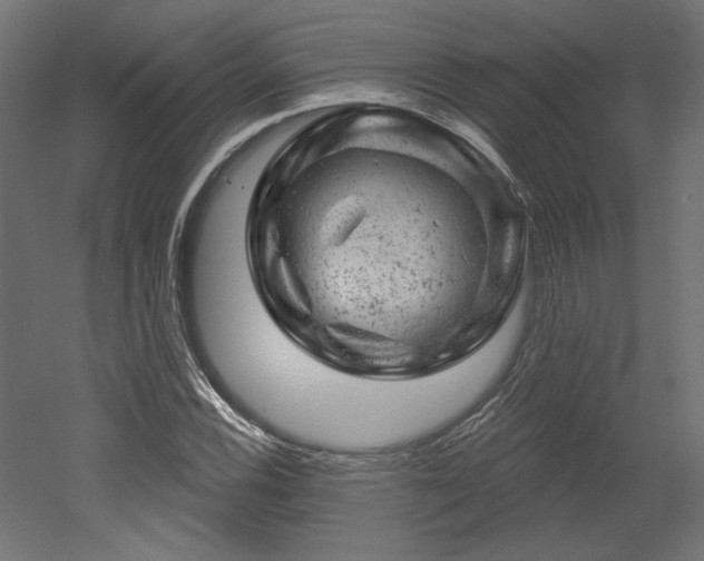 X0000052641116200507011339