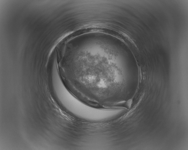 X0000052641117200507011339