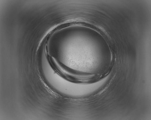 X0000052641118200507011339