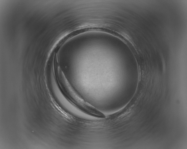 X0000052641119200507011339