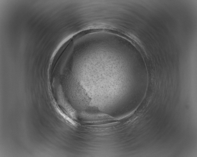 X0000052641120200507011339