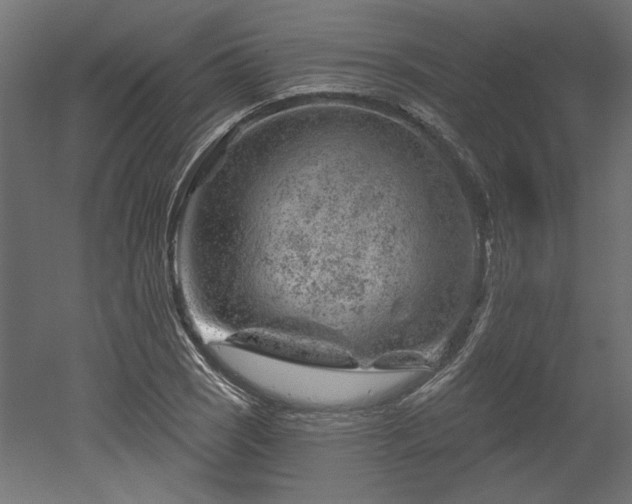 X0000052641121200507011339