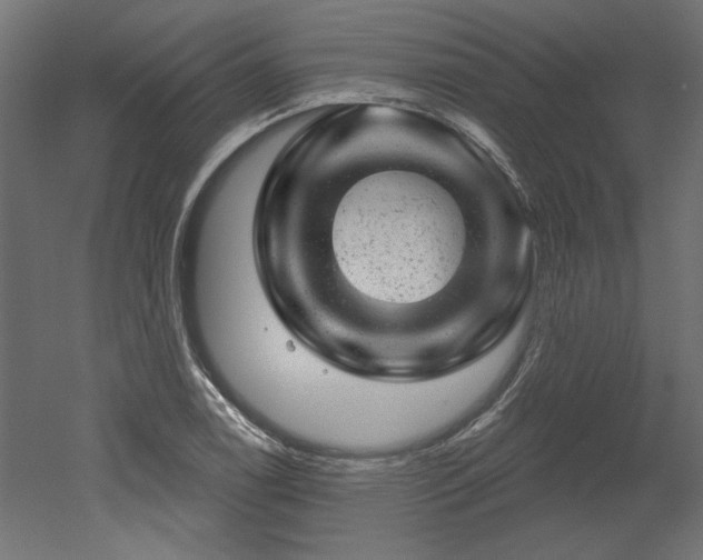 X0000052641122200507011339