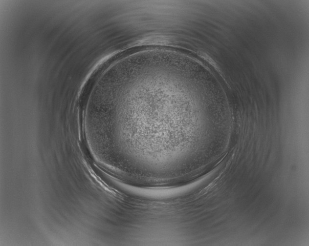 X0000052641123200507011339