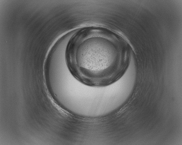 X0000052641124200507011339