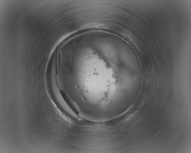 X0000052641125200507011339