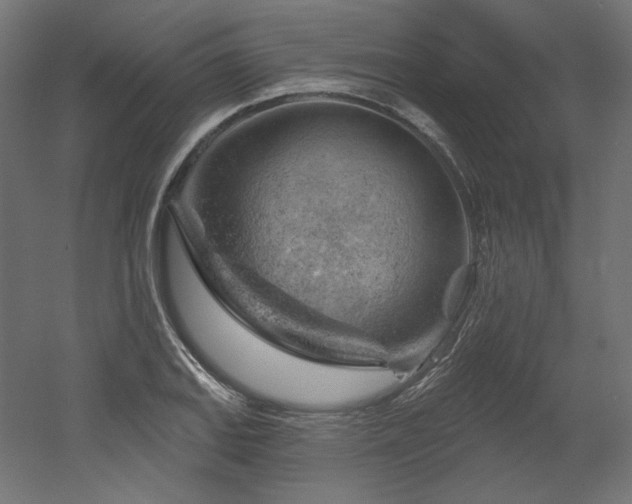 X0000052641127200507011339