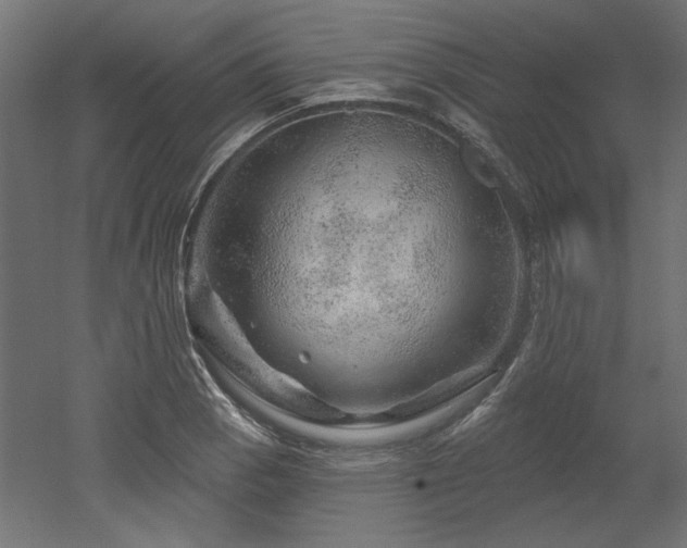 X0000052641129200507011339