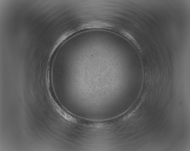 X0000052641130200507011339