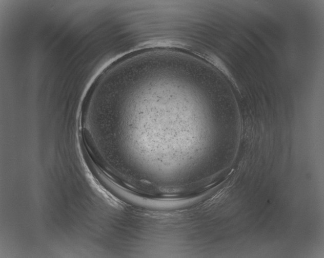 X0000052641132200507011339