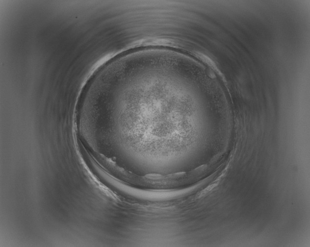 X0000052641133200507011339