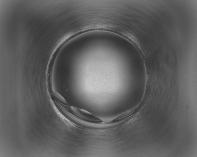 X0000052641135200507011339