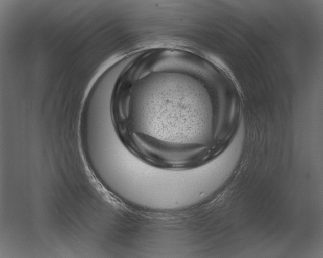 X0000052641138200507011339