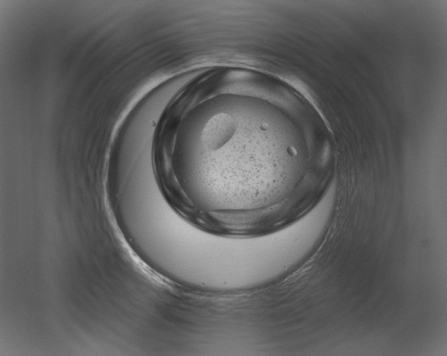 X0000052641139200507011339