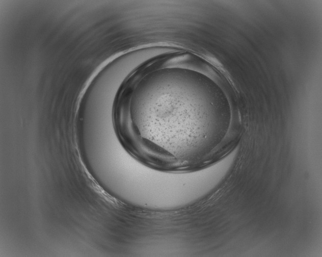 X0000052641140200507011339