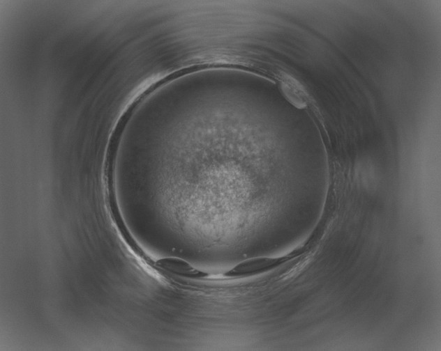 X0000052641141200507011339