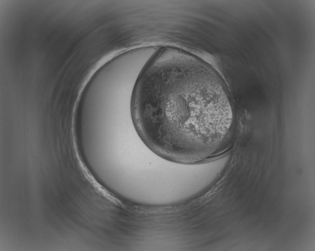 X0000052641142200507011339