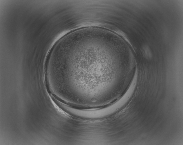 X0000052641143200507011339