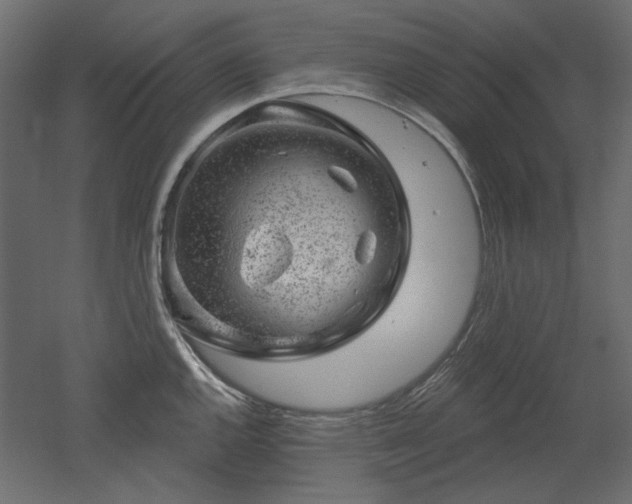 X0000052641144200507011339