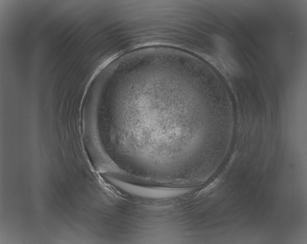 X0000052641145200507011339