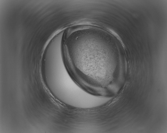 X0000052641146200507011339