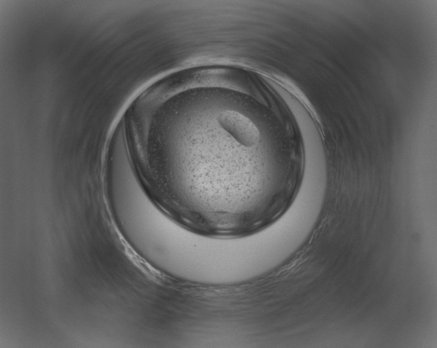 X0000052641148200507011339