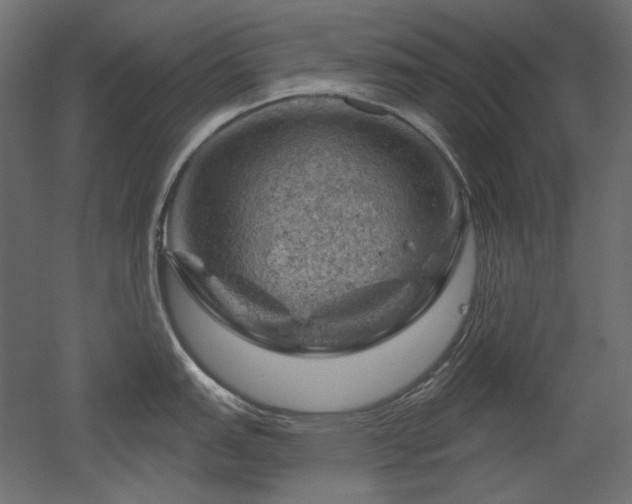 X0000052641151200507011339