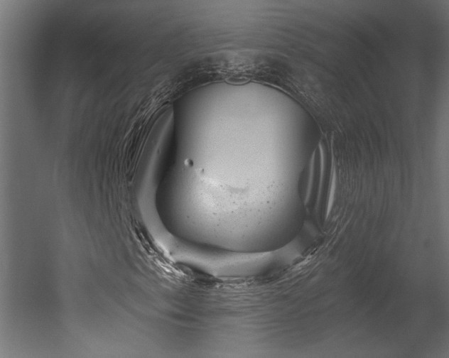 X0000052641153200507011339