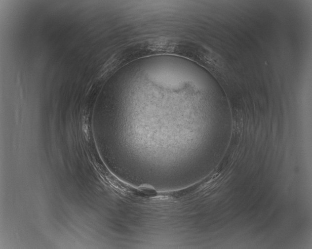 X0000052641154200507011339