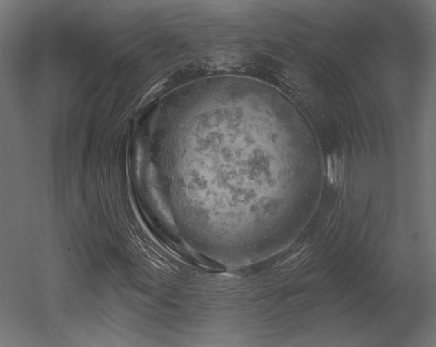 X0000052641155200507011339