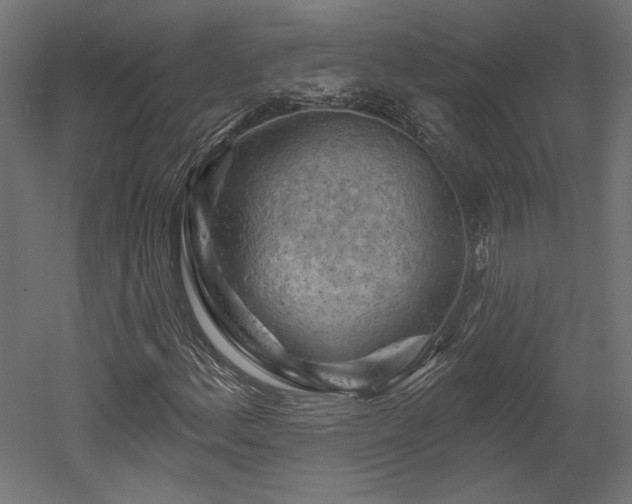 X0000052641156200507011339