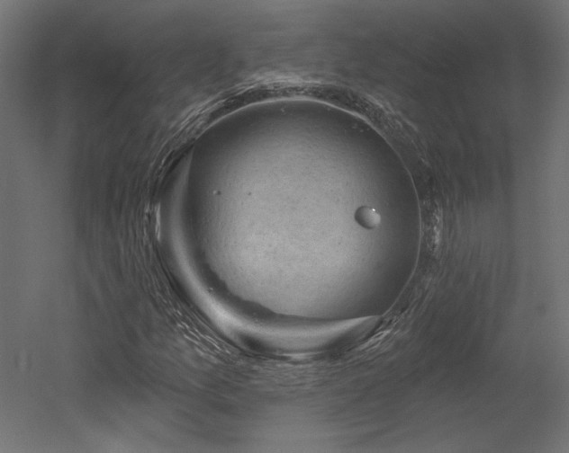 X0000052641157200507011339