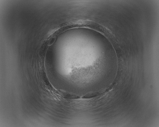 X0000052641158200507011339