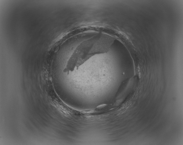 X0000052641159200507011339