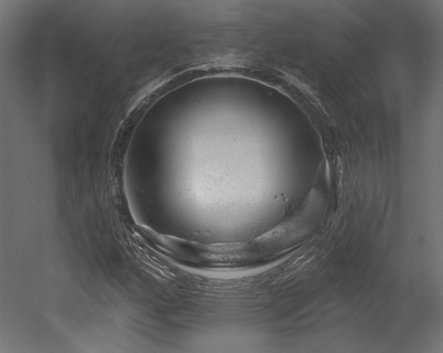 X0000052641160200507011339