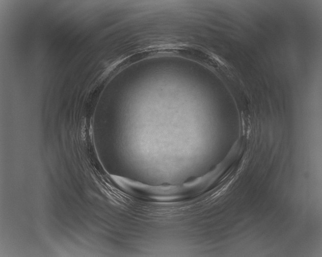 X0000052641161200507011339