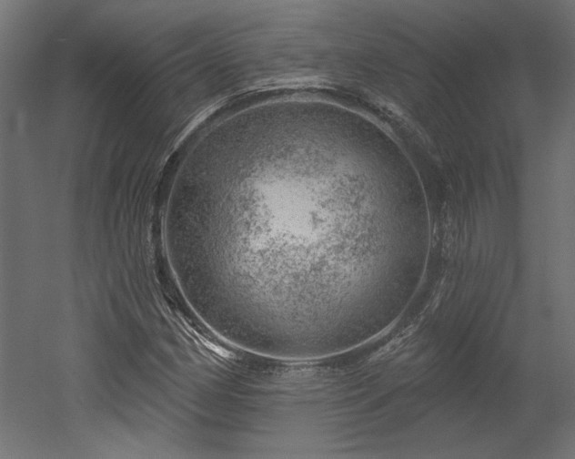 X0000052641162200507011338