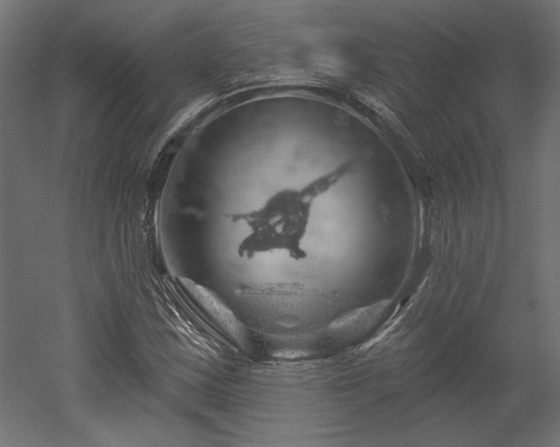 X0000052641163200507011338