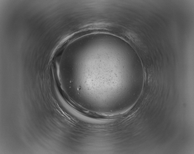 X0000052641164200507011338