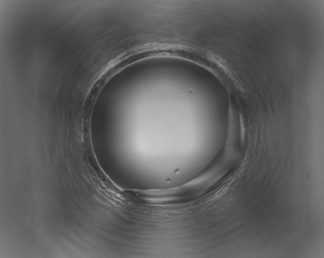 X0000052641165200507011338