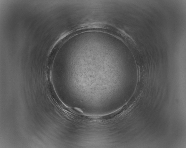 X0000052641166200507011338